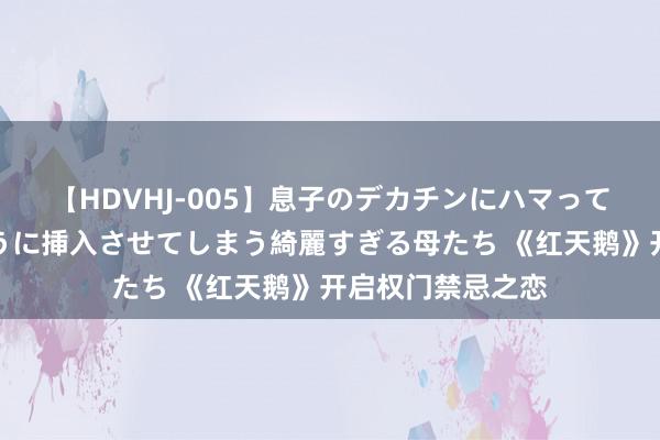 【HDVHJ-005】息子のデカチンにハマってしまい毎日のように挿入させてしまう綺麗すぎる母たち 《红天鹅》开启权门禁忌之恋