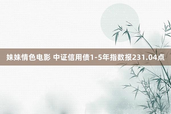 妹妹情色电影 中证信用债1-5年指数报231.04点